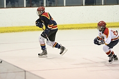 MidgetB1178