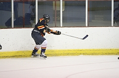 MidgetB1179