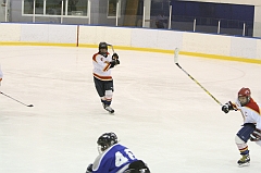 MidgetB0129