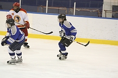 MidgetB0169