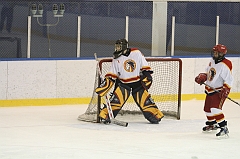 MidgetB0311