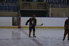 MidgetB0081