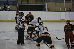 MidgetB0091