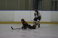 MidgetB0181