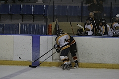 MidgetB0281