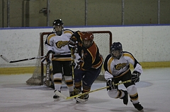 MidgetB0355