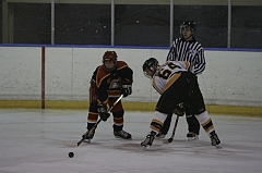 MidgetB0452