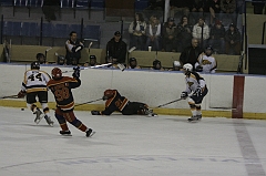 MidgetB0465