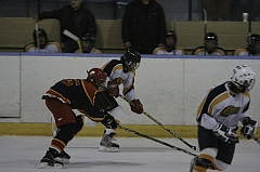 MidgetB0773