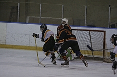 MidgetB0776