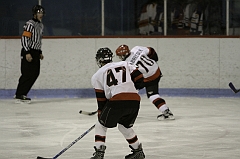 MidgetB0081