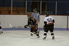 MidgetB0181