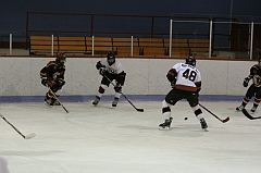 MidgetB0336