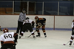 MidgetB0347