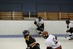 MidgetB0419