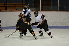 MidgetB0637