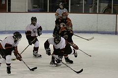 MidgetB0892