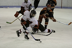 MidgetB0893