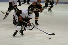 MidgetB0894