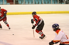 MidgetB0141