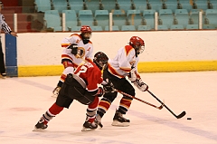 MidgetB0212