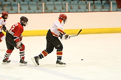 MidgetB0213