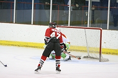 MidgetB0579