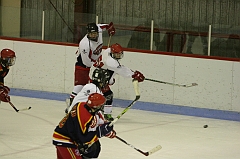 MidgetB_0204