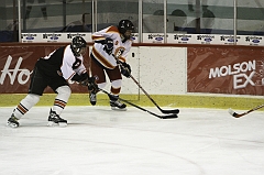 MidgetB_1798