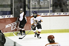 MidgetB_2010