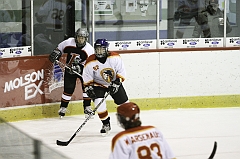MidgetB_2011