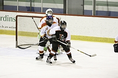 MidgetB_2233