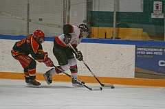 MidgetB-555