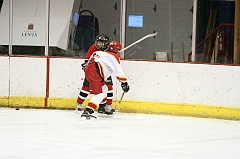 MidgetB_0410
