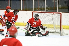 MidgetB_0537