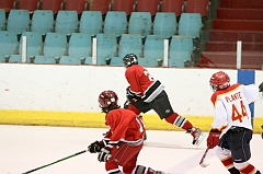 MidgetB_1024