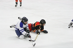 MidgetB_0322