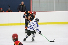 MidgetB_0375