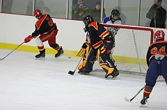 MidgetB_0491
