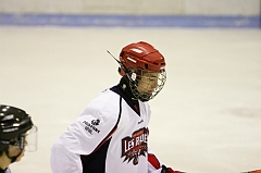 MidgetB_0211