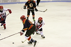 MidgetB_0327