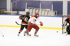 MidgetB_0504