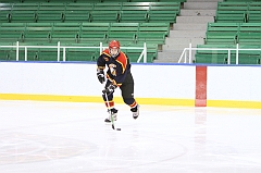 MidgetB2_0085