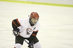 TMidgetB_0992