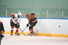 MidgetB_0172