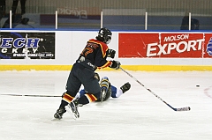 MidgetB_1103