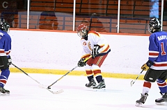 MidgetB_2007