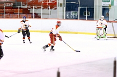 MidgetB_2027