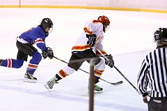 MidgetB_2376