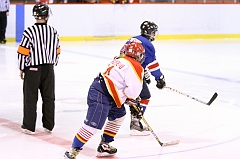 MidgetB_2411